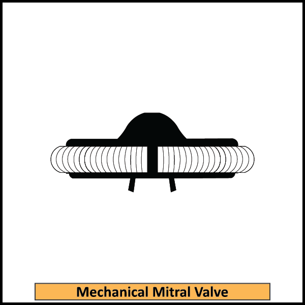 Mechanical-Mitral-Valve